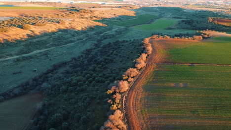vista aérea de un paisaje rural con tierras de cultivo y olivares