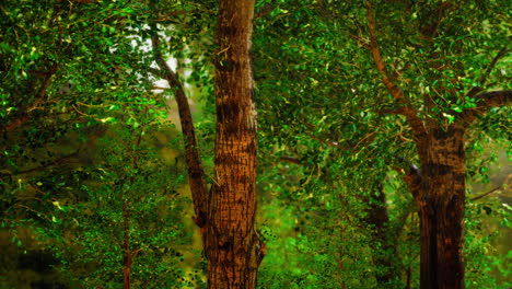 bosque de ensueño oscuro con niebla
