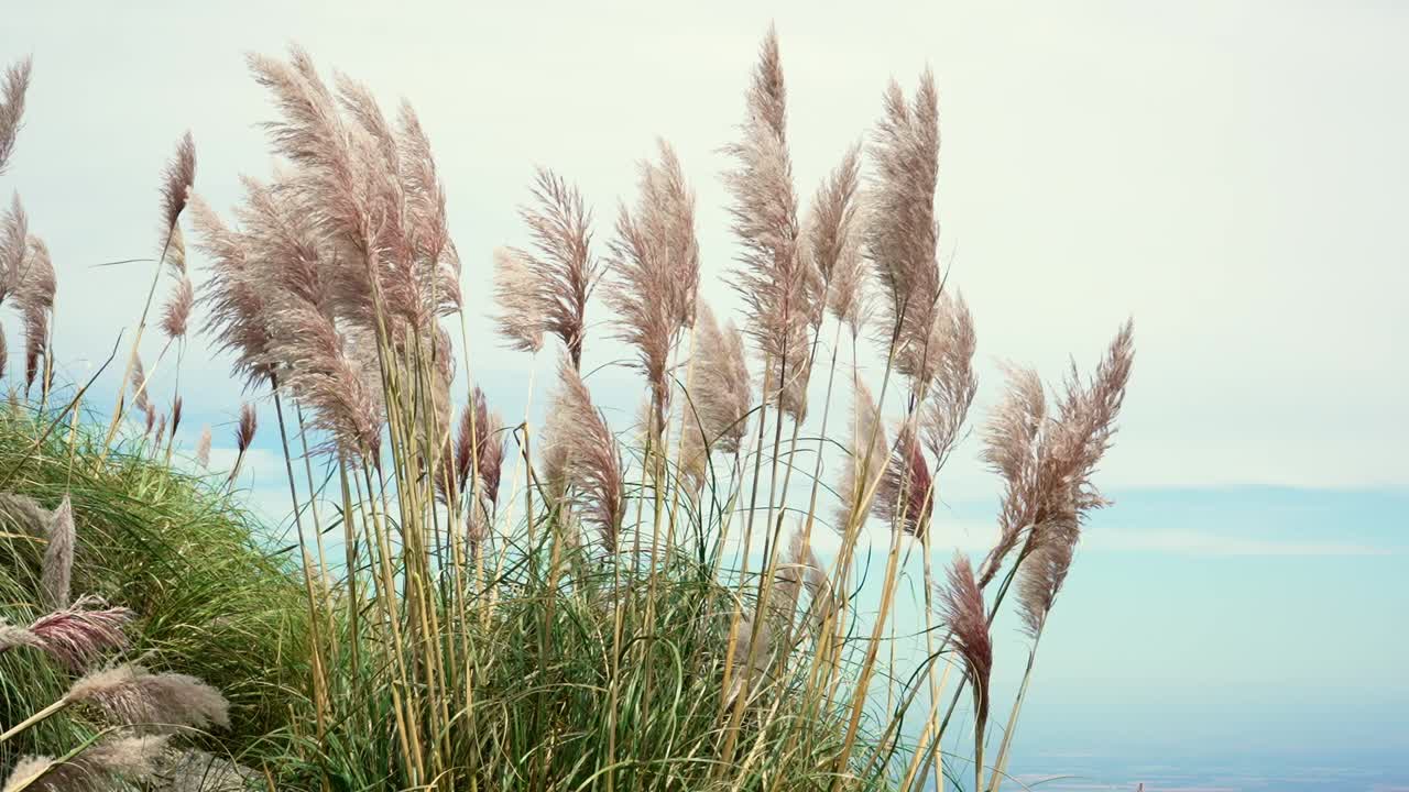 아르헨티나의 comechingones 산맥 꼭대기에서 계곡의 장엄한 전망