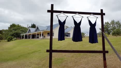 wide shot of  bride - bridesmaid wedding dress