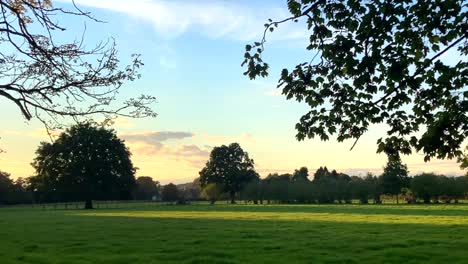 Hermosa-Naturaleza-Y-Campo-Al-Atardecer-En-Surrey,-Inglaterra