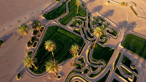 aerial view of lush desert landscape with palm trees and greenery