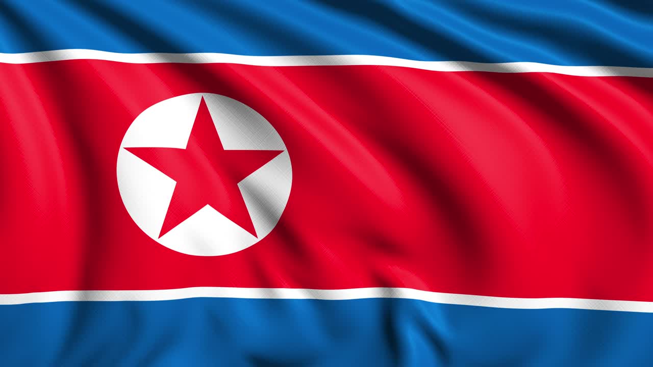 바람에 인 직물 구조로 된 북한의 발 (loopable)