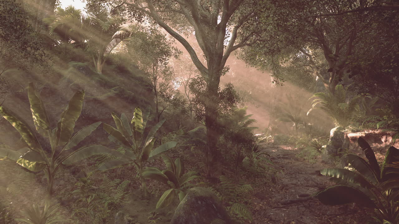 Tranquil forest path illuminated by soft sunlight in a serene landscape