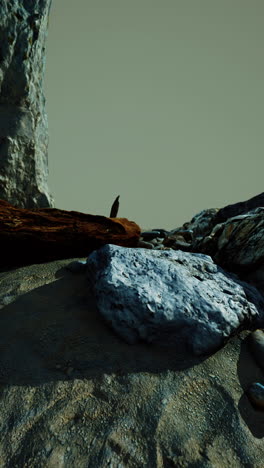 a desolate rocky landscape with a large rock in the foreground and a mountain in the background