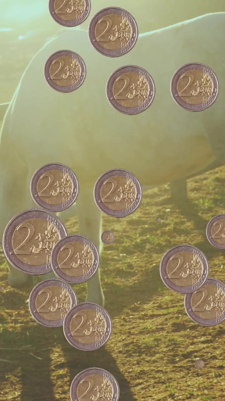 Animation af mønter over hest