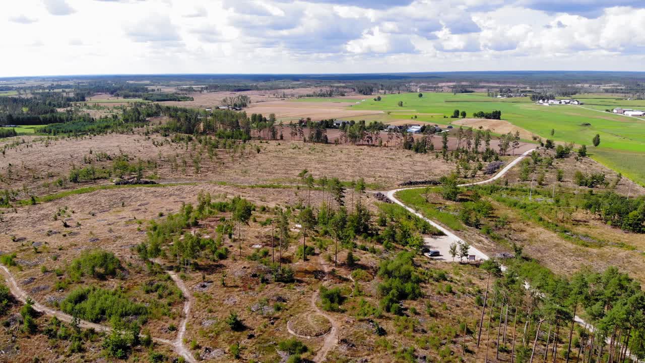 exuberantes árboles verdes en el árido paisaje de lesno, condado de chojnice, polonia en un día soleado - drone aéreo