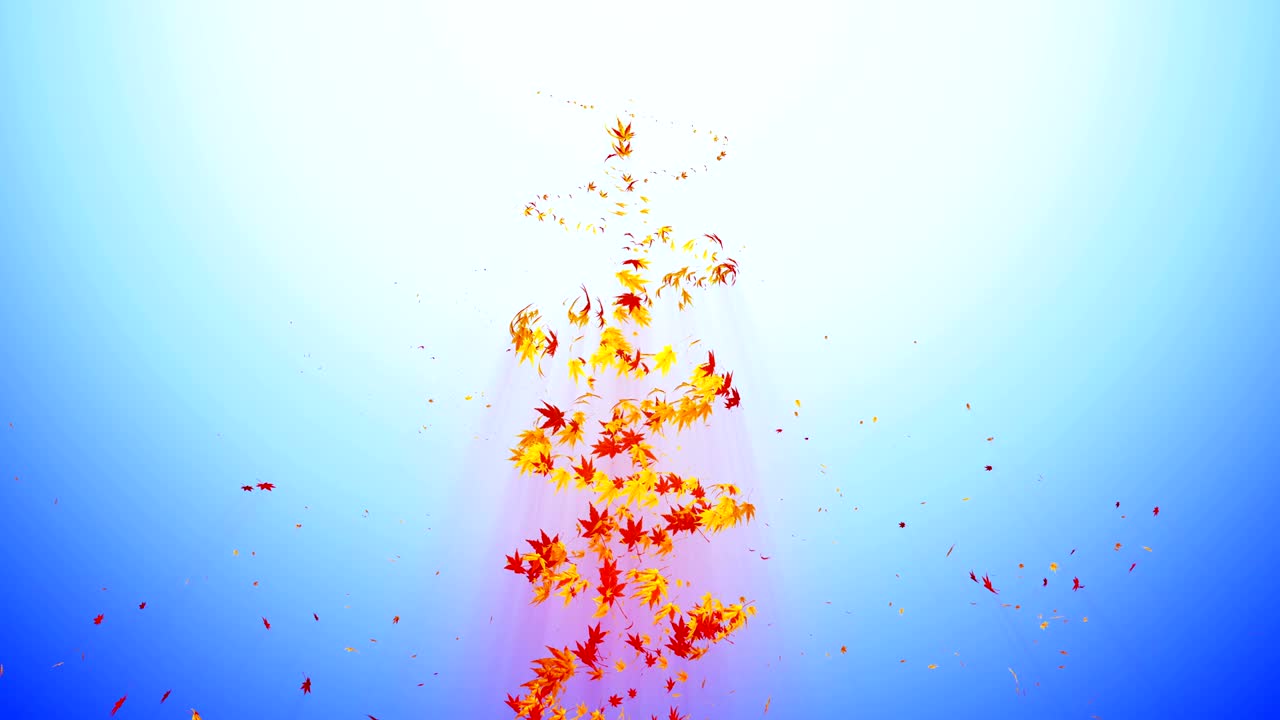 다채로운 메이플과 잎에서 나온 소용돌이, 가을 잎의 나선형 반이는 입자, 춤추는 잎, 다채로운 자연 터널 루프 애니메이션.