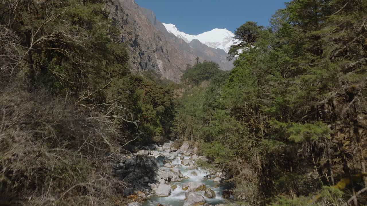 Drone shot captures a trekker walking on bridge in Langtang National Park Nepal adventurer admires wilderness and mountainous landscape rivers, trees, and the bright Langtang Himalayas in backdrop