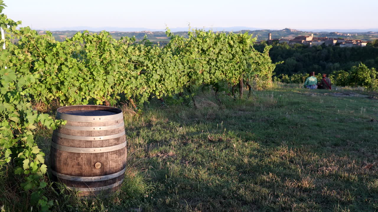 Una botte in mezzo ai vigneti del Monferrato, Italia.