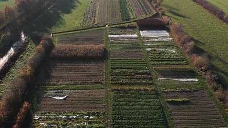 Luftaufnahme-Eines-Biologisch-dynamischen-Bauernhofs-In-Den-Niederlanden,-Der-Die-Vielfalt-Seiner-Ställe-Und-Feldfrüchte-Inmitten-Der-Umliegenden-Landschaft-Zeigt