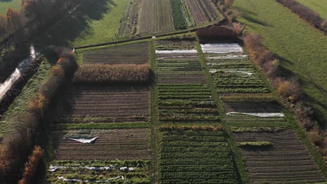aerial view of a biological dynamic farm in the netherlands showing the diversity of its barns and crops amidst its surrounding countryside