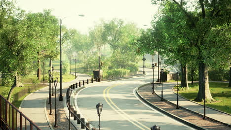 empty asphalt road in city with trees