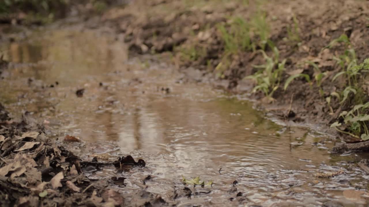 Natural clear water stream surrounded by mud tilting shot