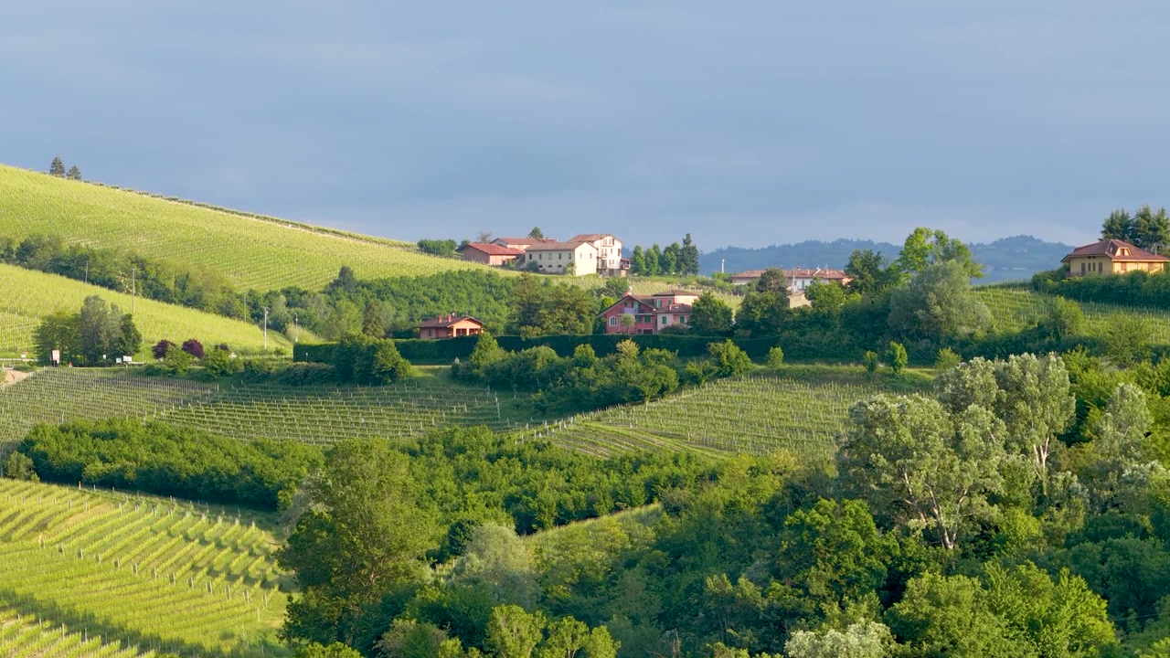 Ampia inquadratura statica di verdi vigneti e casali italiani sotto un cielo leggermente nuvoloso.