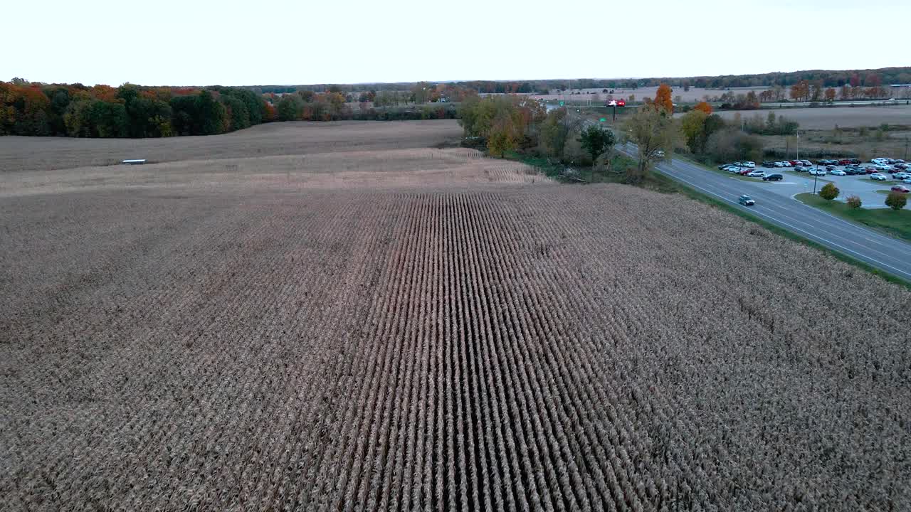 filas de cultivos cosechados en mid michigan
