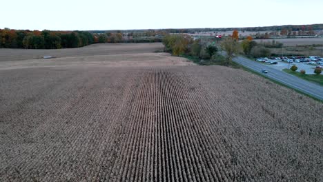 Reihenlinien-Von-Geernteten-Pflanzen-In-Mid-Michigan