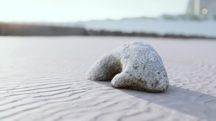 old white coral on sand beach