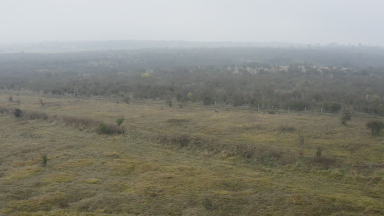 Rough woodland heath countryside covered with fog, autumn, Czechia
