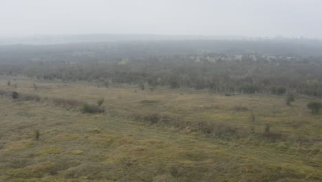 Rough-woodland-heath-countryside-covered-with-fog,-autumn,-Czechia