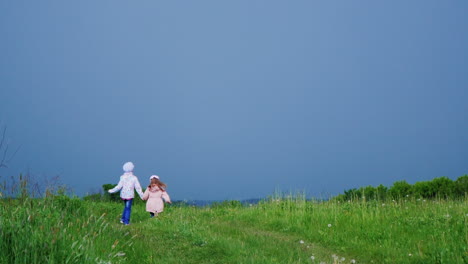 two cheerful girls run hrough the meadow holding hands 2