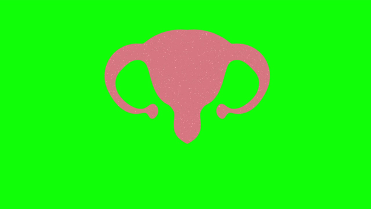 schermo verde disegnato a mano dell'utero. animazione a loop galleggiante