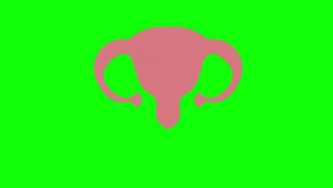 womb hand drawn green screen. floating loop animation