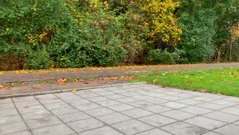 Ein-Mann-Fährt-Im-Herbst-Rollschuhe