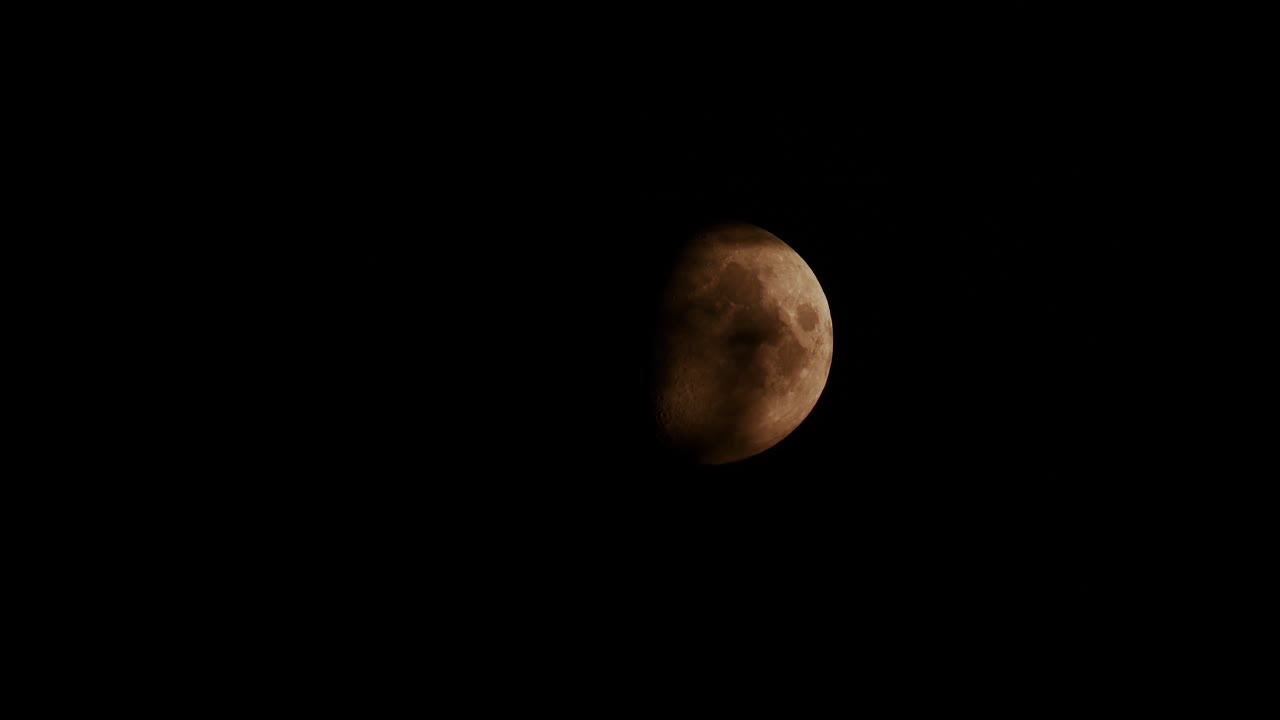 Moon timelapse natural motion behind trees