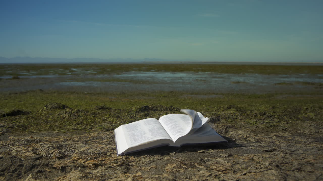 The Bible Sitting in the Foreground of a Barren Iona Beach During Low Tide
