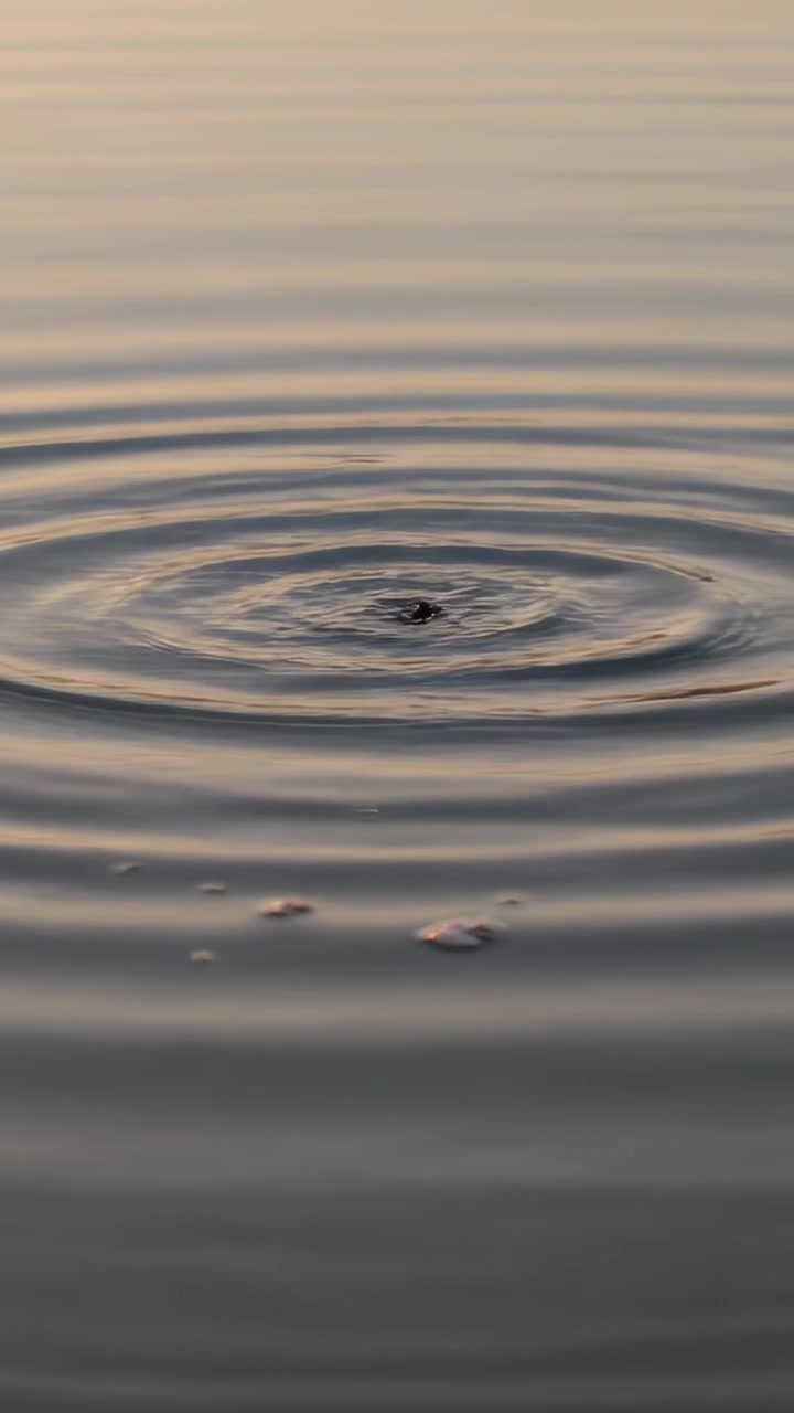 Video verticale: Rottura di un piccolo oggetto scuro che crea increspature e goccioline mentre si immerge nel lago.