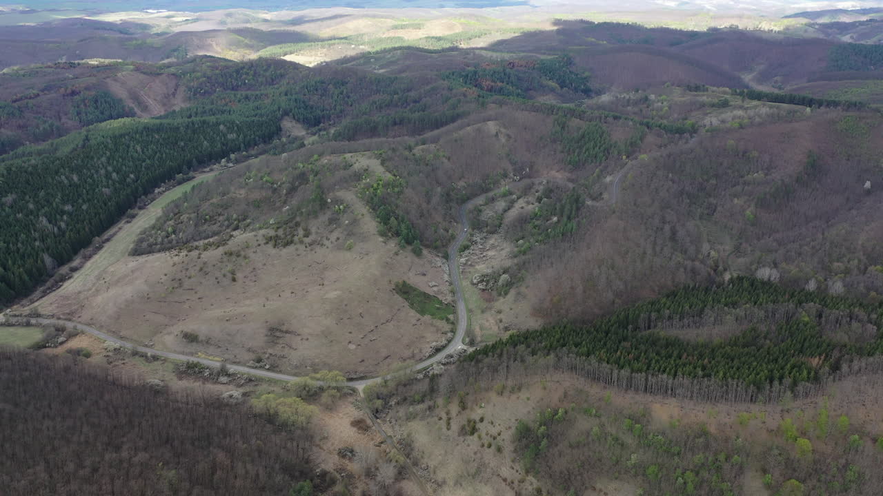 viaje por carretera a través de un bosque en invierno