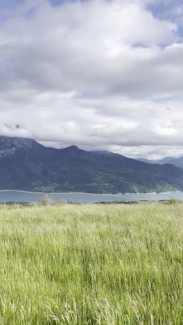 Lac de Serre-Ponçon, a large artificial lake located in the French Alps, captured from moving vehicle