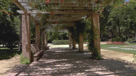 beautiful pergola in maría luisa park seville, spain