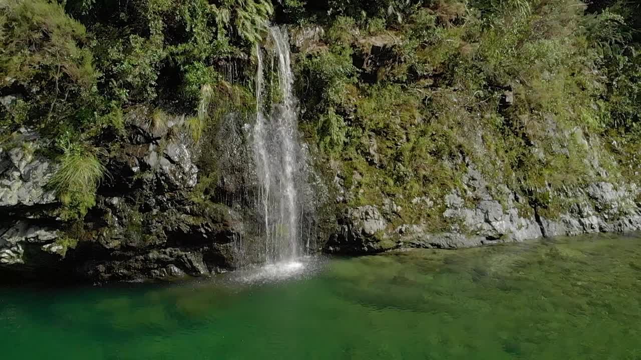 Linda cachoeira no belo e intocado Rio Pelorus, de águas azuis e claras, na Nova Zelândia, com rochas e exuberante floresta nativa ao fundo - Imagens de Drone Aéreo