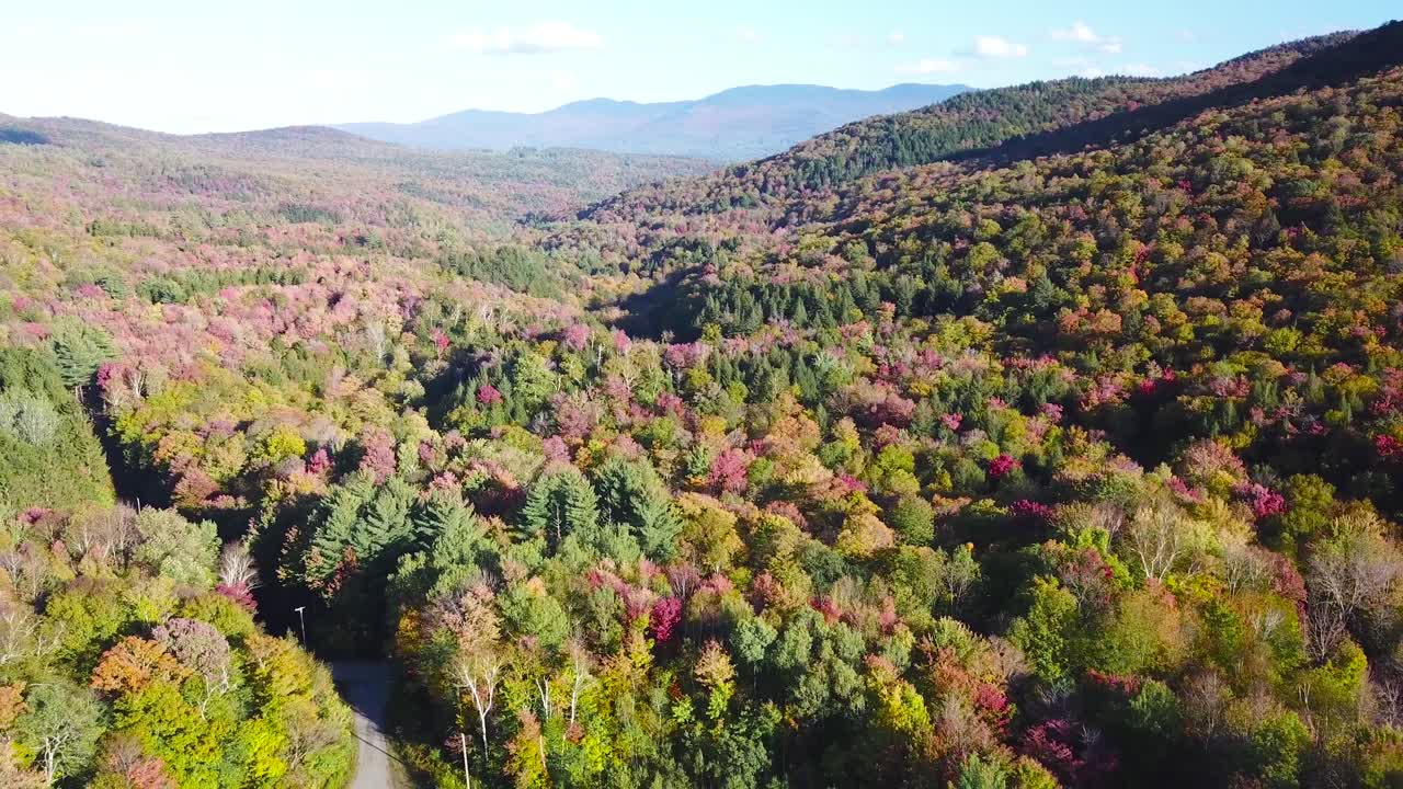 버몬트 또는 뉴잉글랜드 1의 광대한 단풍과 색상의 숲 위의 공중