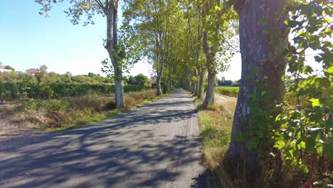 rural countryside road in france early morning