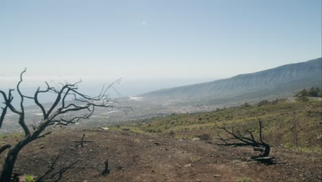 Paisaje-Seco-Y-Quemado-Del-Sur-De-Tenerife,-Islas-Canarias-En-Primavera.