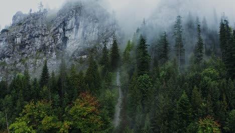 misty mountain forest path