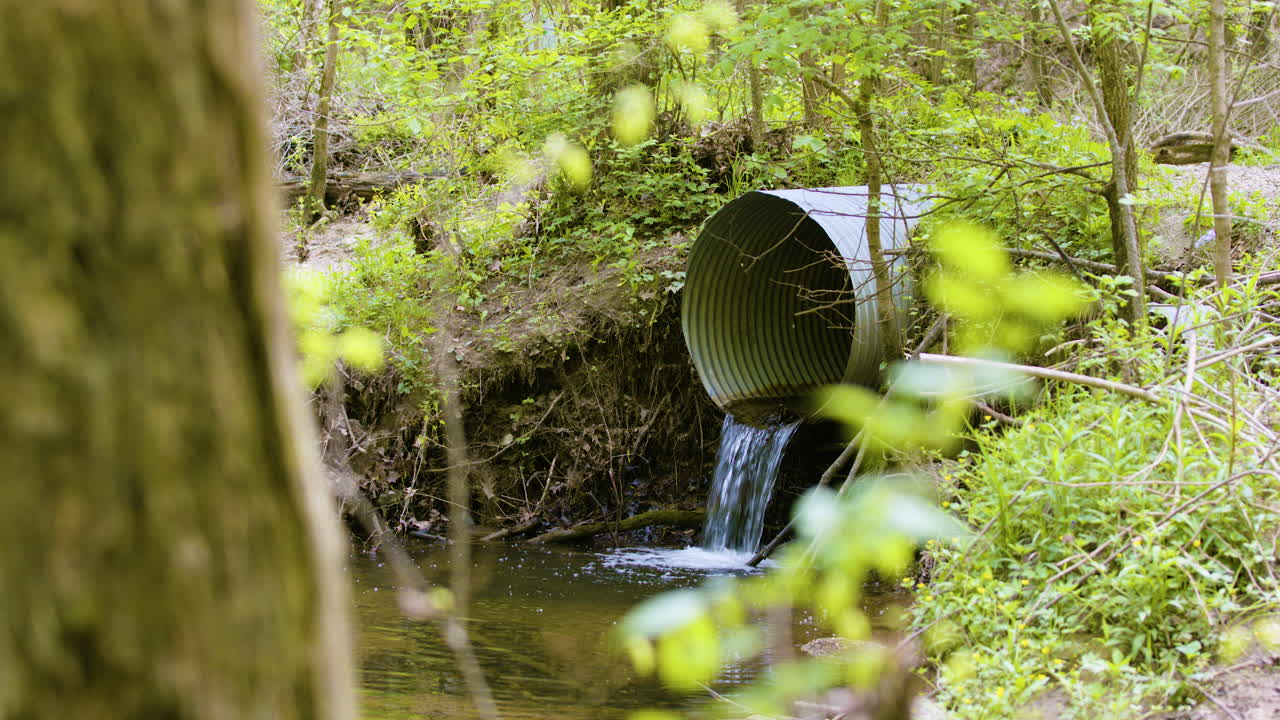 Drainage Pipe in Forest Flowing Into Stream