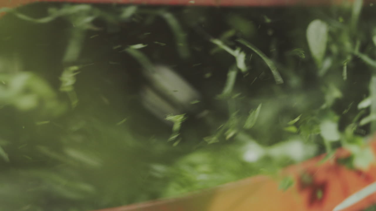 primer plano de la hierba siendo cortada por una cortadora de césped