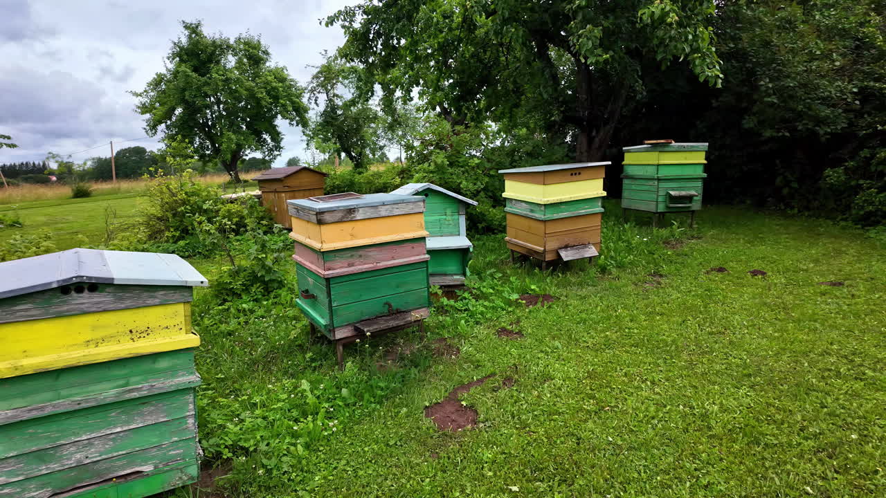 de múltiples colmenas de madera disparadas en el campo verde bajo un día nublado