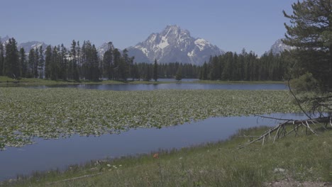 tilt up over small pond to big mountains in western wyoming