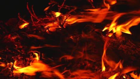 cerca del fuego.