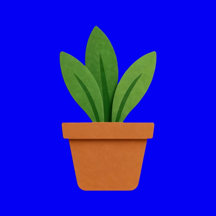 Pequena planta de casa em vaso sobre um fundo azul vibrante