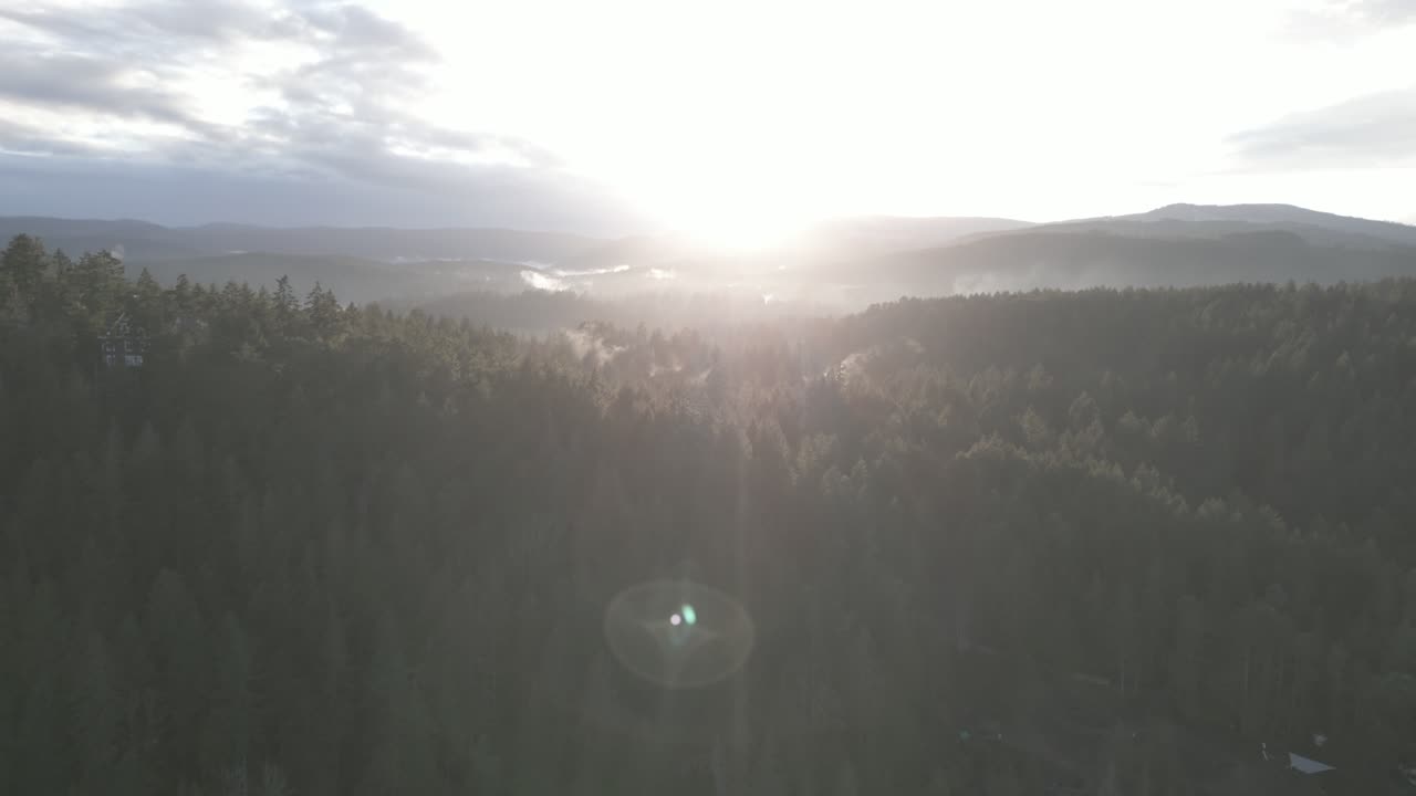 Sunset drone shot of the forest on Vancouver island, BC, Canada.