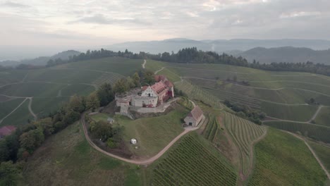 aerial view of a beautiful building in the middle of vineyards