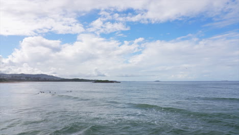 a group of surfers in the ocean at coffs harbour