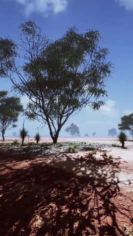paisaje del interior de australia