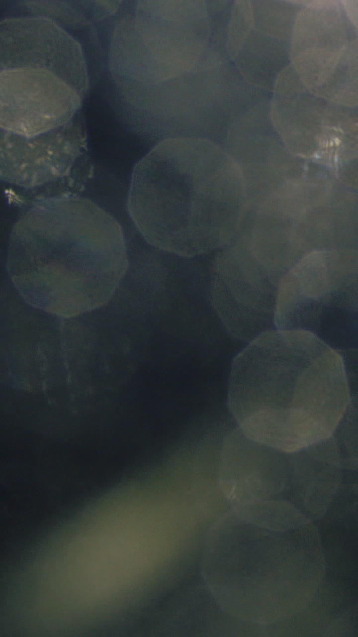 Abstract Dark Bokeh Light Circles Shimmering Background
